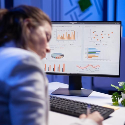 showcase-01 Branding